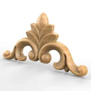 منبت گوشه